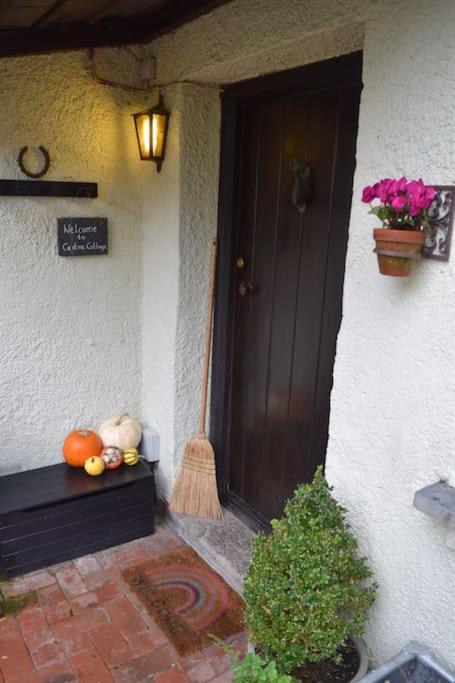 Cedra Cottage - Vintage Country Hideaway Axminster Extérieur photo