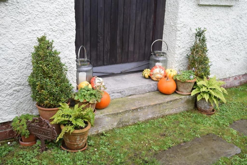 Cedra Cottage - Vintage Country Hideaway Axminster Extérieur photo