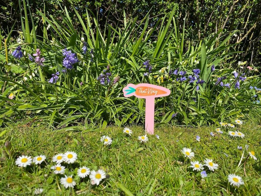 Cedra Cottage - Vintage Country Hideaway Axminster Extérieur photo